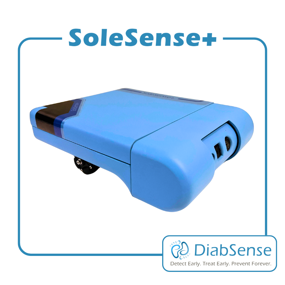 SoleSense Slide 2