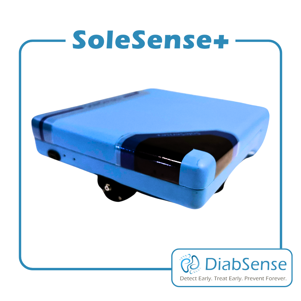 SoleSense Slide 3